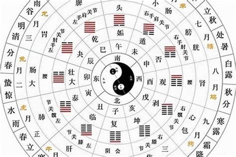 天干 地支 五行|天干地支五行对照表，了解传统文化的钥匙